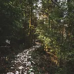 리조트 Te'dreri - Llogora Tourist Village 4*