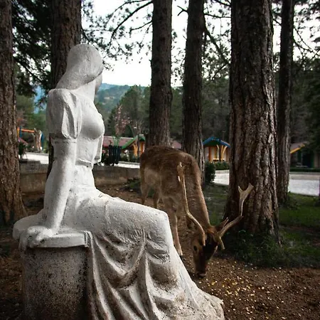 Te'dreri - Llogora Tourist Village Resort