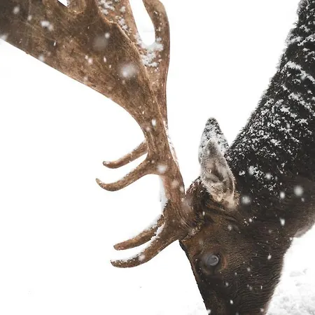 Te'dreri - Llogora Tourist Village Курортный комплекс 4*