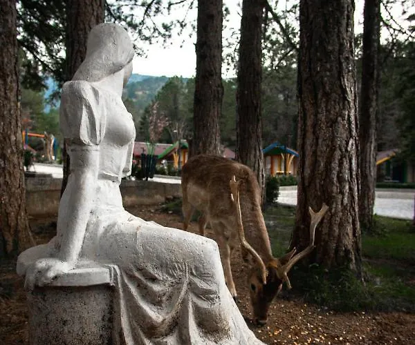 Te'dreri - Llogora Tourist Village Θέρετρο