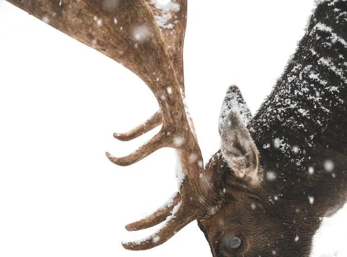 Te'dreri - Llogora Tourist Village リゾート 4*